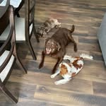 Greg Cowell - @gregcowell7 - Instagram