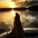 Greg Cowell - @gregcowell - Instagram