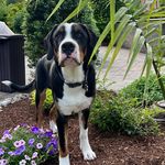 Greg Coyle - @gcoyle34 - Instagram