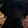 Greg - @gregcoyle_ - TikTok