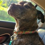 Greg Crain - @greg.crain.1 - Instagram