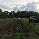 Greg Creech - @fungorall2 - Instagram