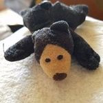 Greg Creech - @g.creech - Instagram