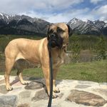 Greg Crook - @gmc45675 - Instagram