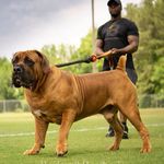 Greg Crouch - @greg.crouch.98 - Instagram