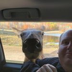 Greg Crowe - @gvcrowe - Instagram