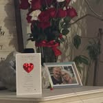 Greg Daily - @gregdaily63 - Instagram