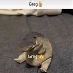 Telephone Daily - @greg_daily__ - Instagram