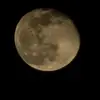 Gregory Daugherty - @gregorydaugherty - TikTok