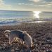 Greg Denton - Facebook