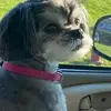 Greg Denton - @greg.denton8 - TikTok