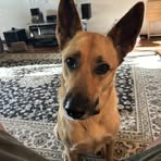 Greg DeVore - Facebook