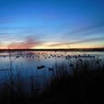 Greg DeWeese - @gddeweese - Instagram