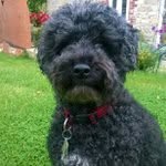 dibble gregory - @dibblegreg - Instagram