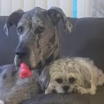 Gregg Dibble - @gd051773 - Instagram