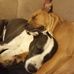 Greg Dickerson - Facebook