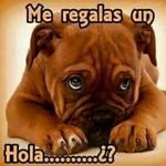 Diener jimenez gregorio beker - @dienerjimenezgregorio - Instagram
