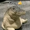 Greg - @greg.dillard6 - TikTok