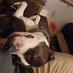 Greg Dobbs - @dobbs1543 - Instagram