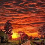 Greg Donovan - @gj.donovan - Instagram