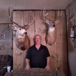 Greg Dow - @gregdow7 - Instagram
