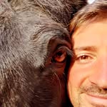 Greg Downes - @greggiedownes - Instagram