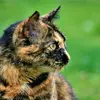 Greg.Drouillard - @greg.drouillard - TikTok