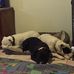 Greg Duffield - Facebook