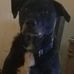 Greg Dugan - Facebook