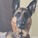 Greg K Dunn - @greg.dunn.357 - Instagram