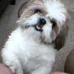 Greg Dutton - @gdutton5800 - Instagram