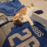 Greg Dye - @howdo582 - Instagram