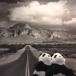 _Greg&Earl_ - @_greg_earl_ - Instagram