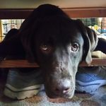 Greg Eggleston - @greg.eggleston2691 - Instagram