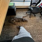 Greg Eggleston - @jgeggleston - Instagram