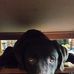 Greg Eggleston - Facebook