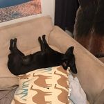 Greg Emery - @heyitsamegreg - Instagram
