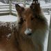 Greg Emery - Facebook