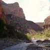 gregepstein7 - @gregepstein7 - TikTok