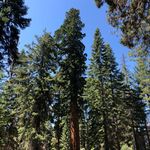 Greg Estep - @gce223 - Instagram