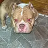 greg - @greg_estep05 - TikTok