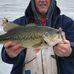 Greg Fabian - Facebook