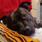 Greg Fancher - @fancher.greg - Instagram