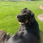 Greg Ferguson - @greg.ferguson.50364592 - Instagram