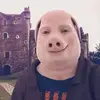 greg_ferguson_ - @greg_ferguson_ - TikTok