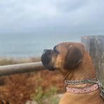 Greg Fern - Facebook