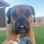Greg Fern - Facebook