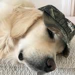 Greg Fernandez - @gregfernandez - Instagram