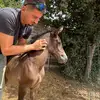 greg - @gregfernandezgf - TikTok