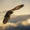Greg Field - @2180446763 - TikTok